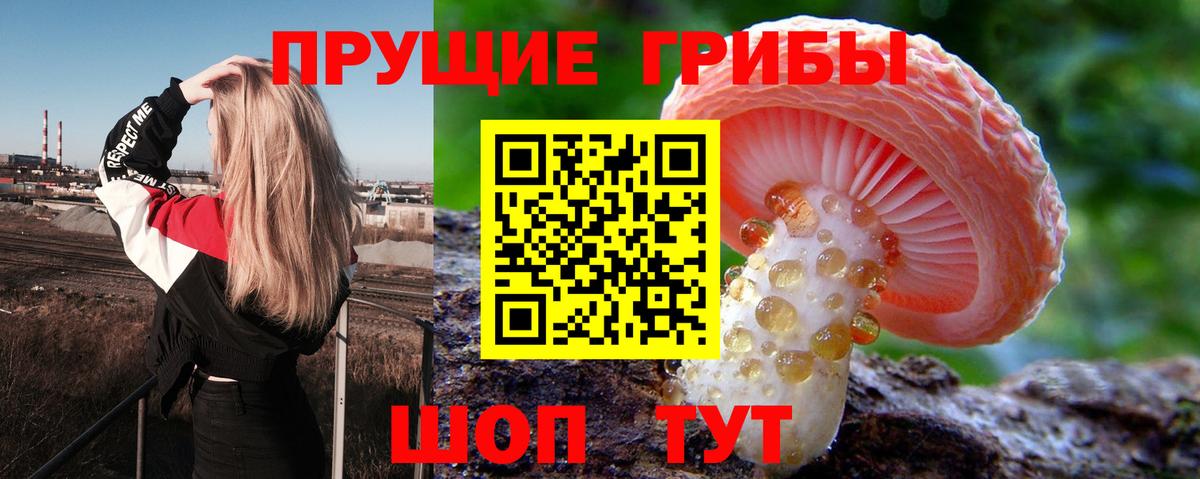 Галлюциногенные грибы мухоморы Лянтор