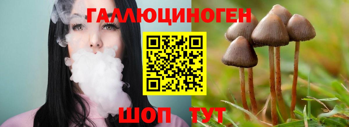 Галлюциногенные грибы GOLDEN TEACHER  Вход с VPN  Лянтор 