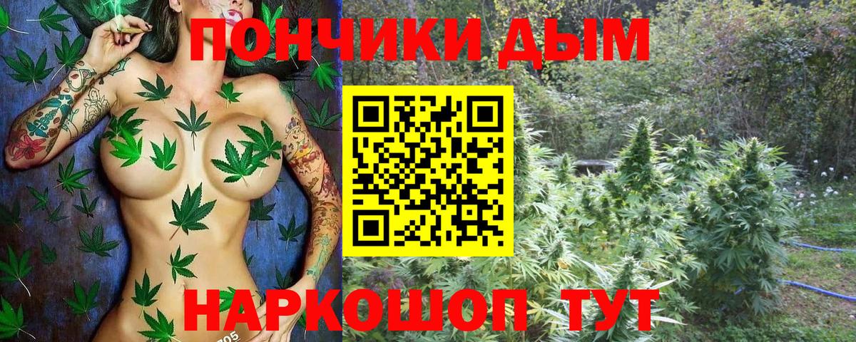 Бошки Шишки SATIVA & INDICA Лянтор